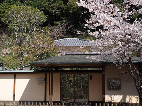 【鎌倉】憧れの邸宅、一軒家でウェディングやパーティができます。